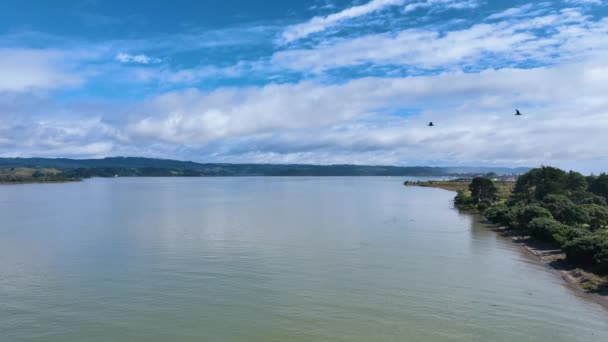 Volar Sobre Aguas Tranquilas Del Puerto Ohiwa Hacia Municipio Ohope — Vídeos de Stock