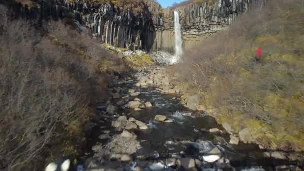 Aerial Shot Amazing Svartifoss Waterfall Iceland — Stock videók