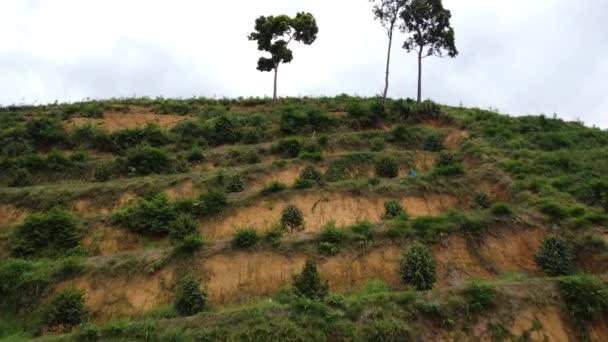 Aerial View Hilltop Deforestation Southern Vietnam Aerial Dolly Shot — 비디오