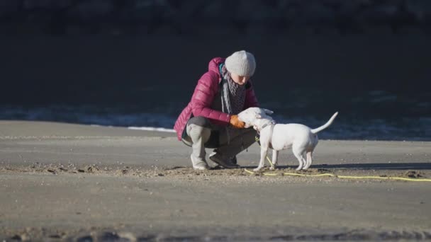 Kvinna Som Leker Med Liten Vit Terrier Sandstranden Långsamma Rörelser — Stockvideo