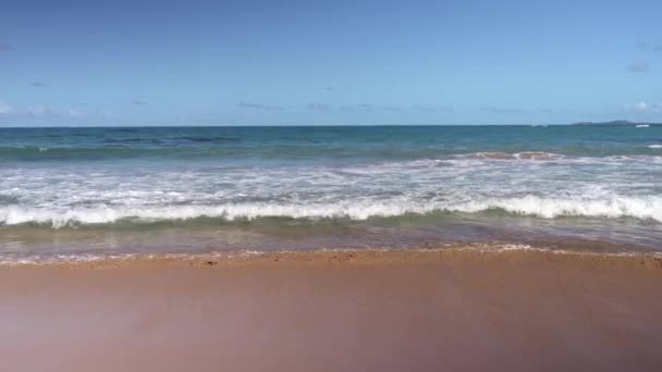 Sea Waves Crashing Sandy Shores Endless Horizon Blue Sky Sunny — Stok video