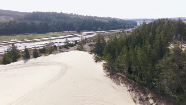 Video Der Oregon Dunes Bei Horesfall North Bend Oregon — Stockvideo