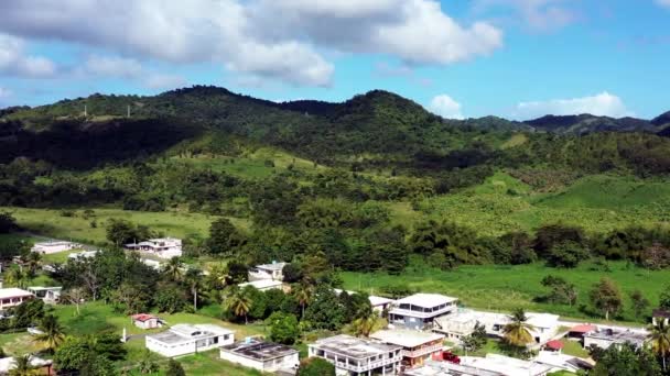 Houses Middle Wild Nature Hills Puerto Rico Sunny Day Aerial — Vídeo de Stock