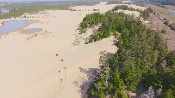 Βίντεο Κλιπ Στο Oregon Dunes North Bend Όρεγκον Μετά Από — Αρχείο Βίντεο