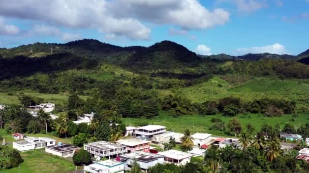 Small Town Island Puerto Rico Palm Trees Middle Wild Nature — Vídeo de Stock