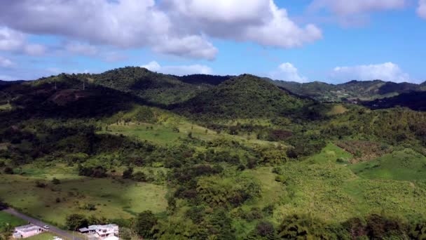 Pequeño Pueblo Selva Cubierto Vegetación Salvaje Montañas Isla Puertorico Vista — Vídeos de Stock