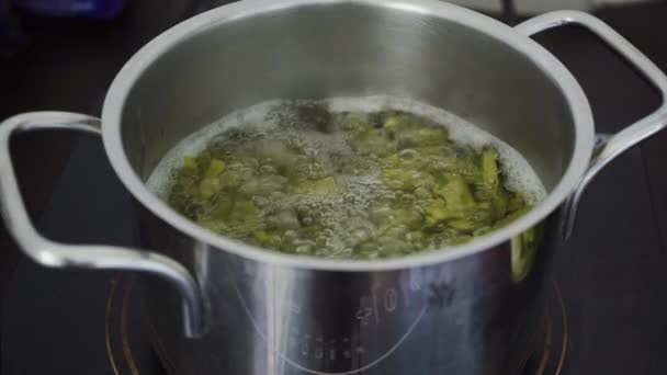 Cactus Food Cooking Pan Boiling Water Traditional Native Mexican Dish — Video Stock