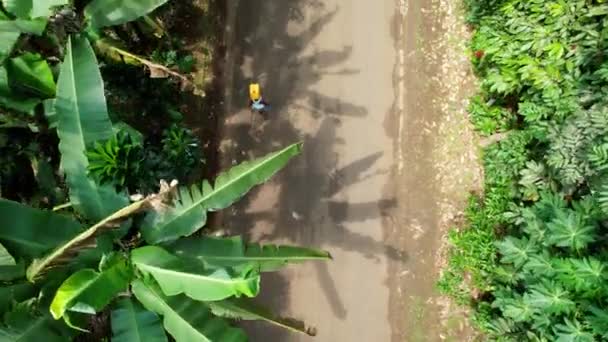 Aerial View Woman Carrying Canister Head Walking Road Sao Tome — Stockvideo