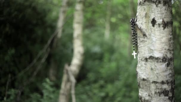 Lost Forgotten Rosary Beads Crucifix Cross Handing Woods Tree — 비디오