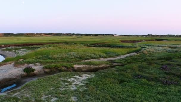 Aerial Flying Salt Marshes Dune Lands Slufter Wetlands Sea Delta — Αρχείο Βίντεο