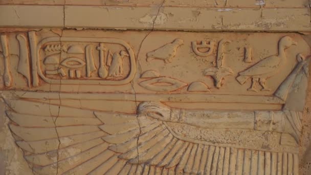 Egyptian Hyroglyphs Written Wall — Vídeo de Stock