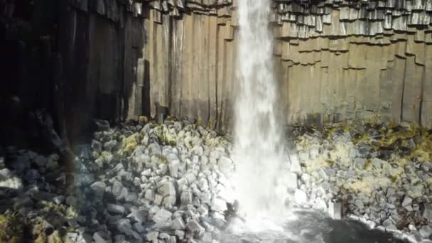 Beauty Svartifoss Waterfall Iceland — Stockvideo