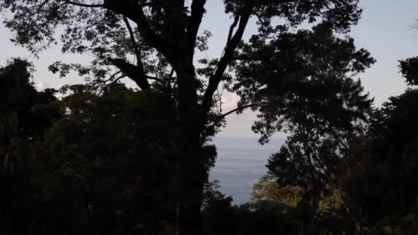 Slow Camera Movement Ocean View Dawn Tropical Forest Osa Peninsula — 图库视频影像