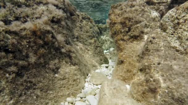 Clear Rocky Underwater Surface Paralia Beach Kefalonia Greece Underwater Shot — Stock Video