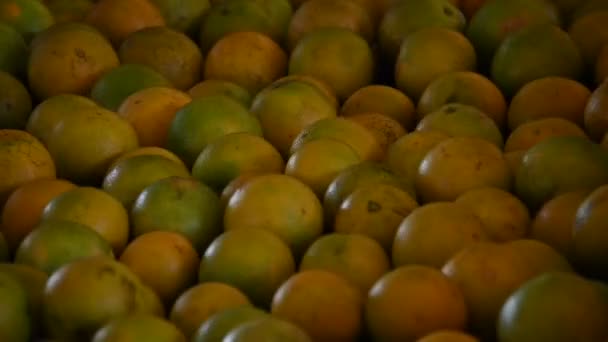 Naranjas Bailando Cinta Transportadora — Vídeos de Stock