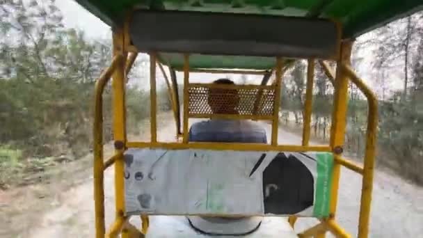 Pov Záběr Rickshaw Nebo Elektrické Rikši Toto Bateriová Rikša Muž — Stock video
