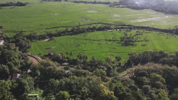 Panorama Porannego Widoku Wsi Nanggulang Pokazujące Połacie Pól Ryżowych Mount — Wideo stockowe