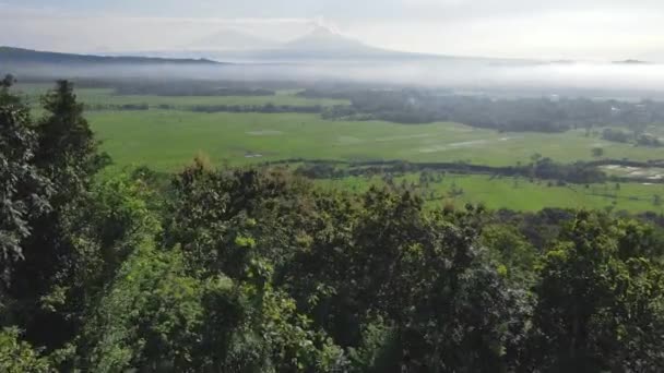 Panorama Porannego Widoku Wsi Nanggulang Pokazujące Połacie Pól Ryżowych Mount — Wideo stockowe