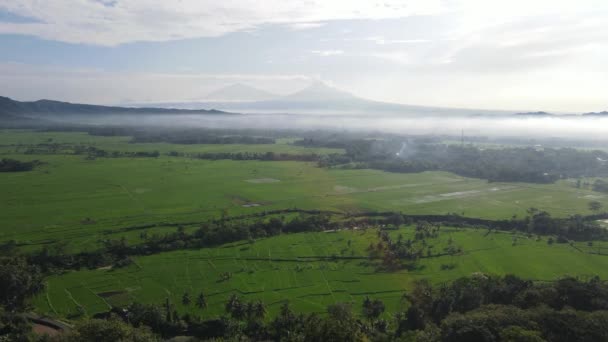 Panorama Morning View Nanggulang Village Showing Expanse Rice Fields Mount — Stockvideo