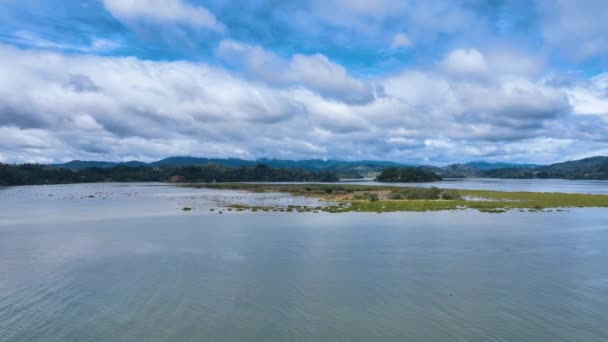 Issız Sulak Araziler Üzerinde Alçak Hava Ohiwa Limanı Ile Çevrili — Stok video