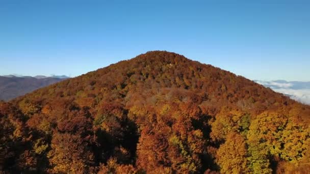 Letecký Pohled Horu Pokrytou Listovými Barvami Národním Parku Abruzzo Slunečno — Stock video