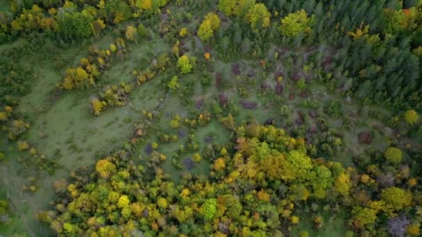 Вид Воздуха Красочные Лиственные Деревья Осень Абруццо Италия Наклон Дрон — стоковое видео