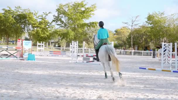 Back View Jockey Riding White Horse Jumping Hurdle Cap Cana — Stock Video