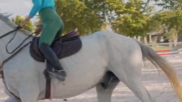 Αγνώριστος Αναβάτης Ιππασίας Λευκό Άλογο Στο Ιππικό Κέντρο Στο Cap — Αρχείο Βίντεο