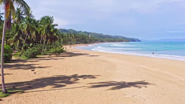 Coson Beach Las Terrenas República Dominicana Tiro Estático — Vídeo de Stock