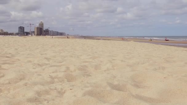 Sandy Beach North Sea Ostend Low Tide — Vídeo de Stock