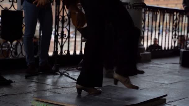 Schöne Und Kraftvolle Flamenco Tänzerin Und Band Treten Der Öffentlichkeit — Stockvideo