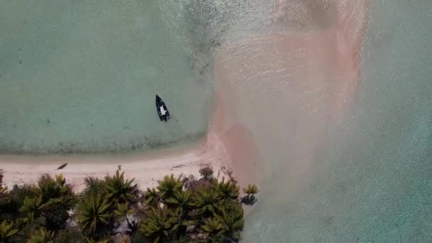 在南太平洋法属波利尼西亚法卡拉瓦环礁的一个蓝色环礁岛上 一架美丽的无人驾驶飞机对一个岛屿进行了拍摄 人们在海滩上散步 而照相机在向上飞的时候直直地朝下看 — 图库视频影像