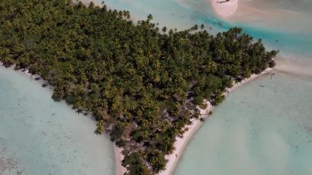 Vacker Antenn Drönare Skott Lagunen Atollen Fakarava Franska Polynesien Södra — Stockvideo