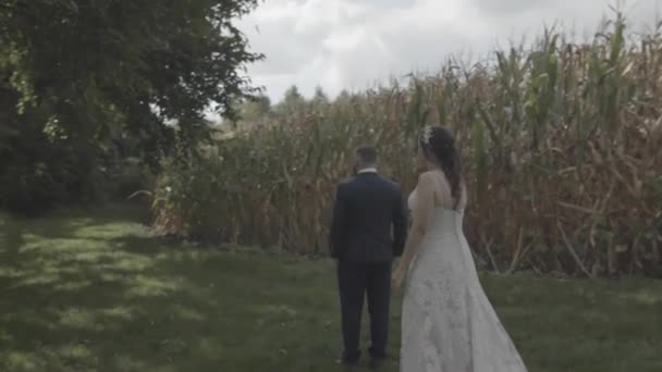 Una Sposa Leggermente Più Alta Dietro Suo Nuovo Marito Gli — Video Stock