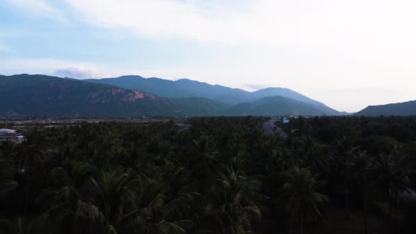 Flying Palm Treetops Vietnam Mountains Seen Background Road Running Vicinity — Stock video