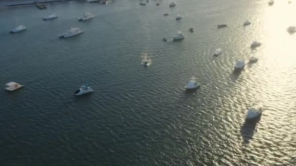 金色的阳光反射在一艘小船上 在停泊着的渔船之间来回穿梭 从空中俯冲而下 — 图库视频影像