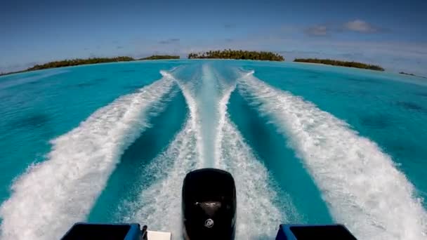 View Outboard Engines Speedboat Flying Tropical Blue Lagoon Fakarava French — Stockvideo