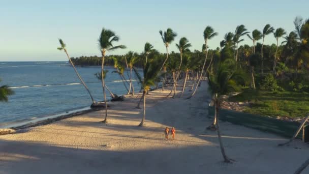 Pareja Caminando Playa Arena Tropical Con Palmeras Sopladas Por Viento — Vídeos de Stock