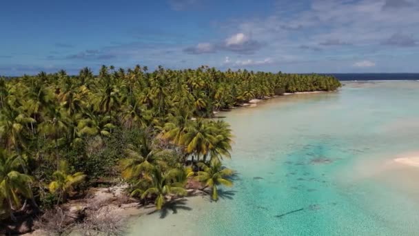 Beautiful Aerial Drone Shot Beautiful Little Island Tropical Lagoon Fakarava — Stockvideo
