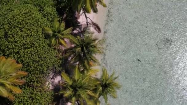 Aerial Drone Shot Beautiful Little Island Tropical Lagoon Fakarava Camera — Wideo stockowe