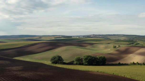 Panoramica Lentă Terenurilor Agricole Fertile Rulante Din Republica Cehă Rurală — Videoclip de stoc