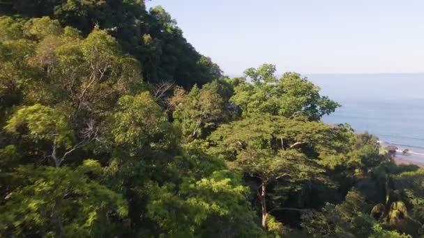 コスタリカの太平洋岸にある熱帯沿岸の町ジャコによるエル ミロの絵のような眺め 空中空飛ぶショット — ストック動画