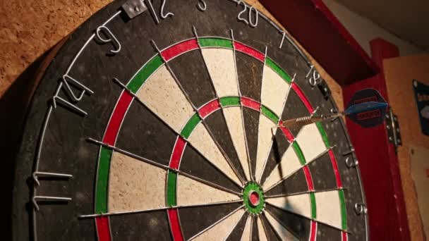 Darts Hitting Points Old Rubber Board Hanging Basement Wall Static — Stock Video