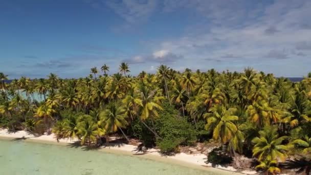 Beautiful Aerial Drone Shot Beautiful Little Island Tropical Lagoon Fakarava — Video