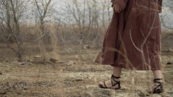 Homem Oriente Médio Jesus Cristo Vestindo Vestes Marrons Sandálias Senta — Vídeo de Stock