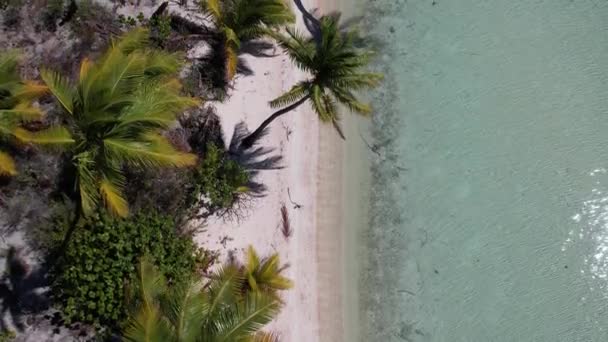Zdjęcie Drona Lotu Ptaka Pięknej Wysepki Tropikalnej Lagunie Fakarava Kamera — Wideo stockowe