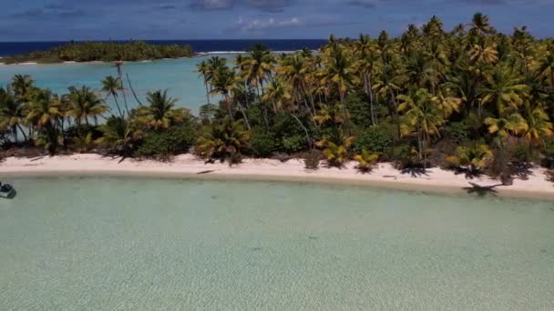 Beautiful Aerial Drone Shot Beautiful Little Island Tropical Lagoon Fakarava — Video