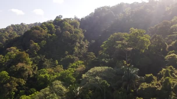 Lush Forest Mountains Jaco Costa Rica Wide Angle Aerial Push — Stockvideo