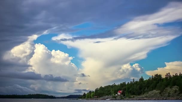 Statický Pohled Jezero Bílý Dům Spolu Hustým Zeleným Lesem Létě — Stock video