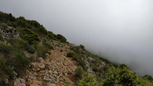 Statische Aufnahme Eines Felsigen Weges Auf Einem Berg Dichten Nebelschwaden — Stockvideo